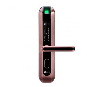 DL2互聯網指紋密碼鎖